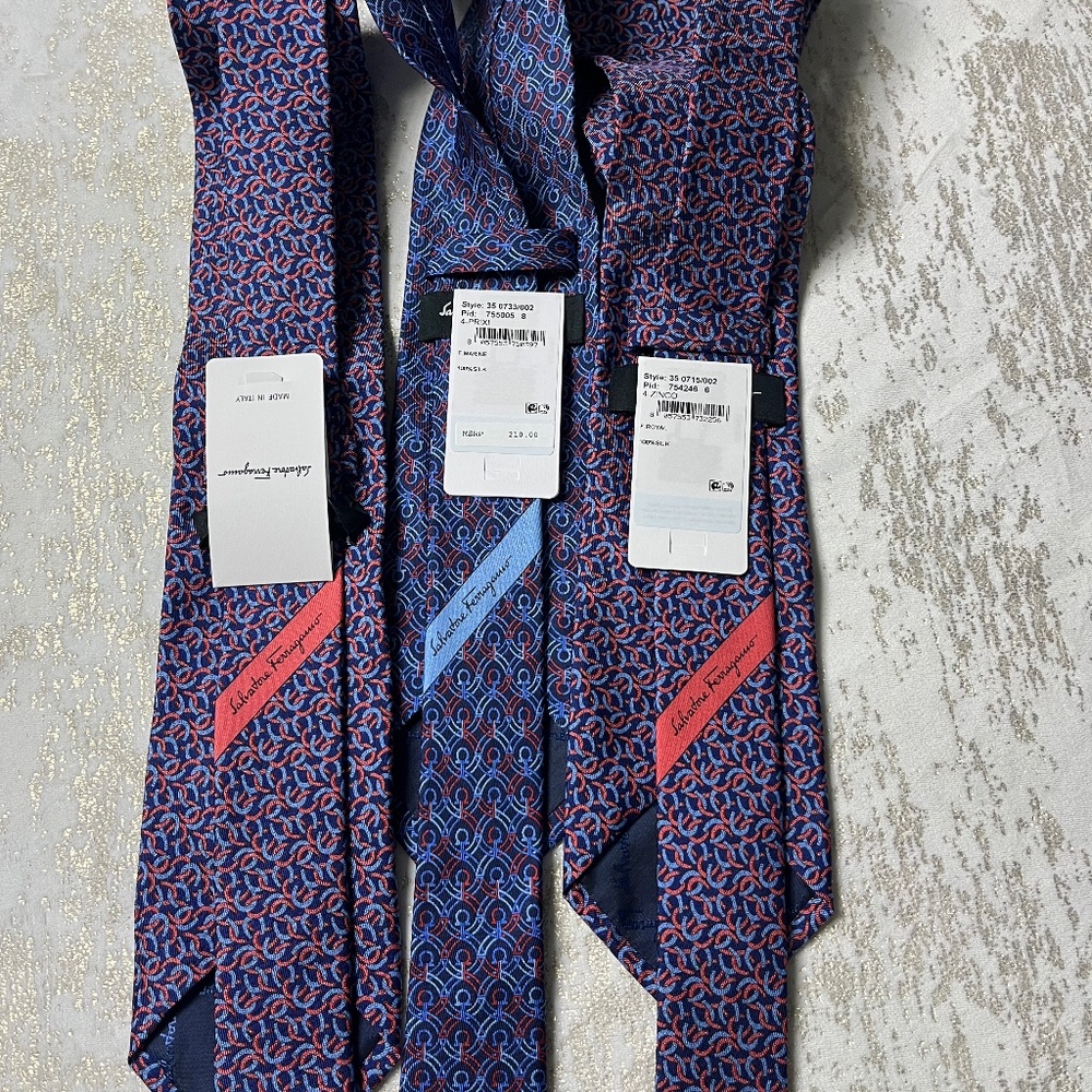 Salvator feragamo tie